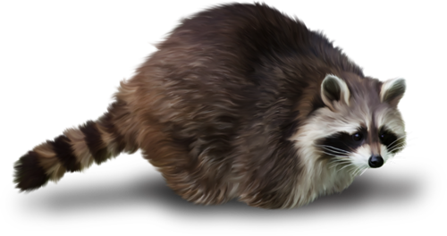 mosomedve_17.png