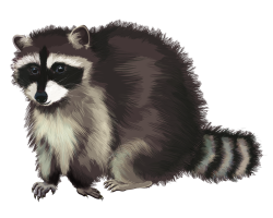 mosomedve_7.png