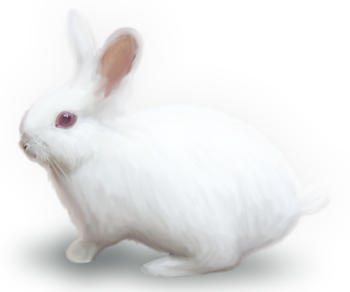 nyul_130.png