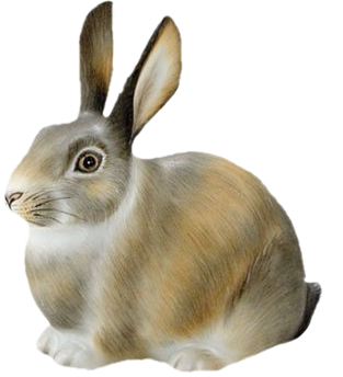nyul_134.png