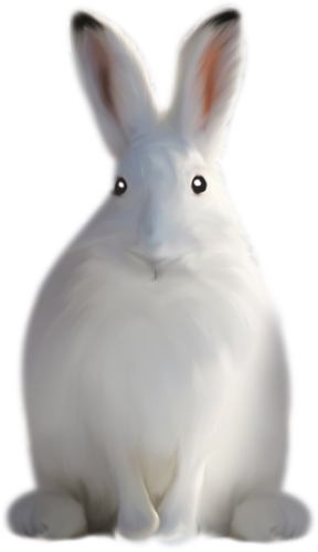 nyul_163.png
