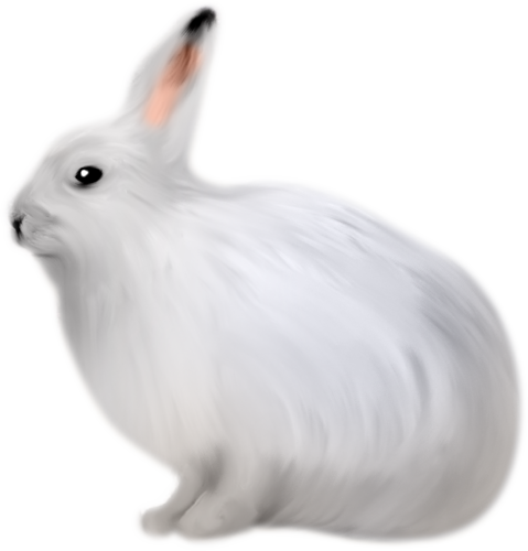 nyul_164.png