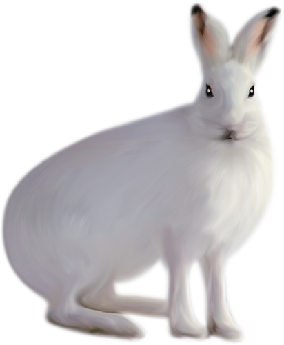 nyul_165.png