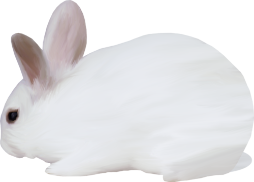 nyul_187.png