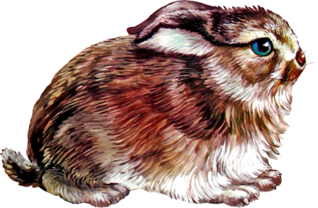 nyul_193.png