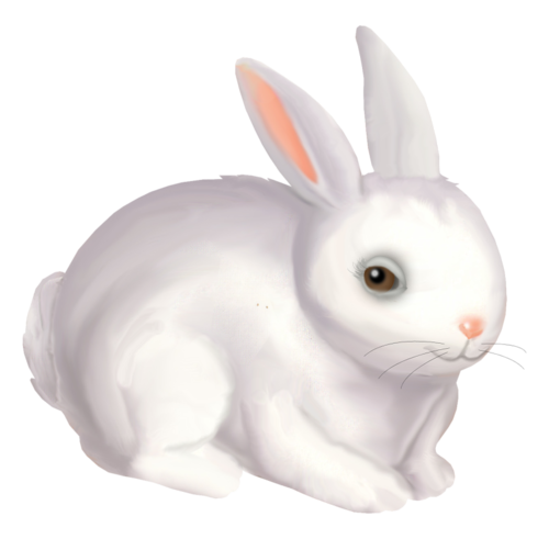 nyul_240.png