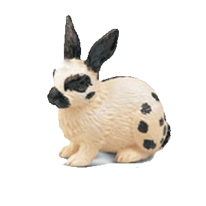 nyul_241.png