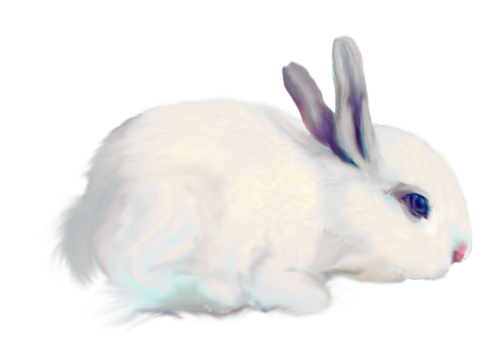 nyul_3.png