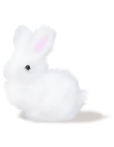 nyul_40.png