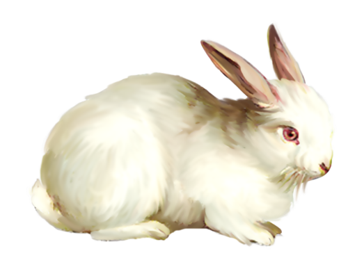 nyul_43.png
