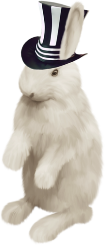 nyul_51.png