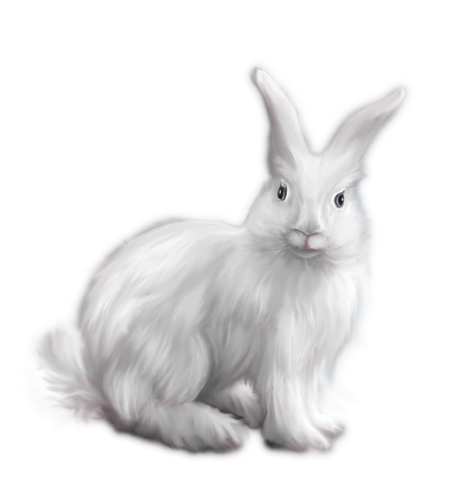 nyul_53.png