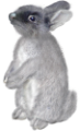 nyul_150