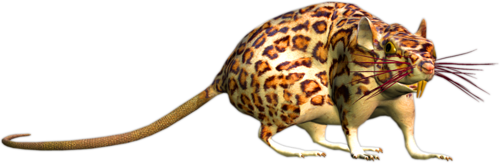 patkany_17.png