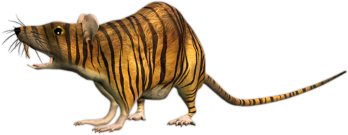 patkany_23.png