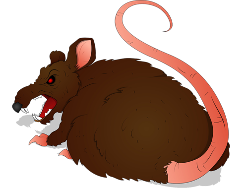 patkany_27.png