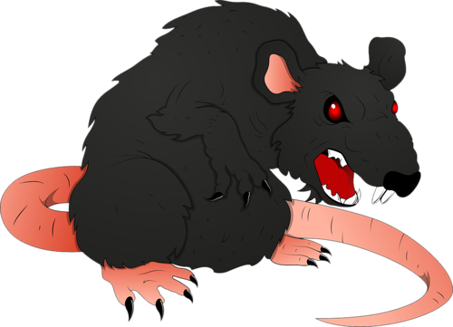 patkany_28.png