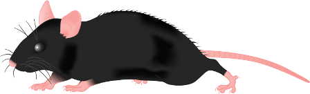 patkany_38.png