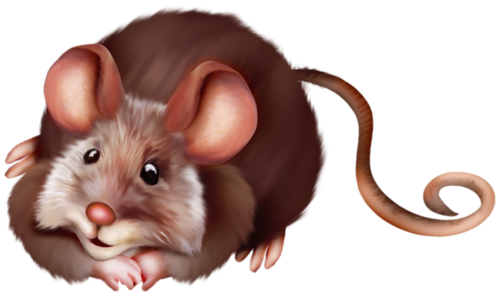 patkany_4.png