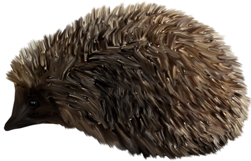sun_33.png