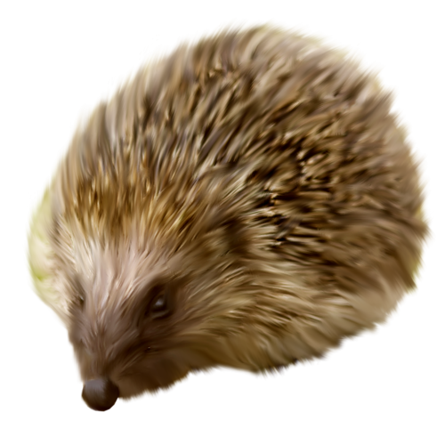 sun_52.png