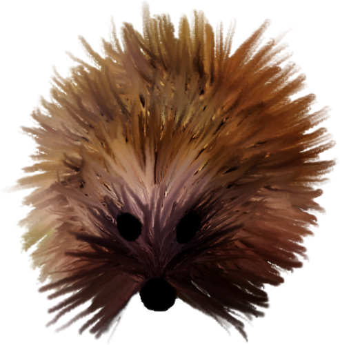 sun_55.png