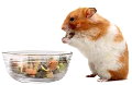 HÖRCSÖG