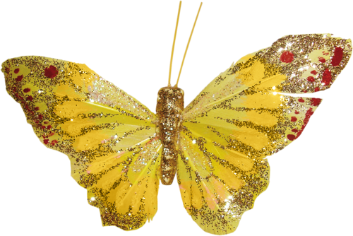 lepke_2901.png