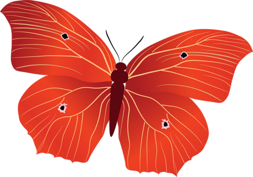 lepke_566.png