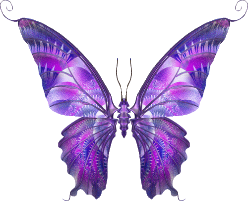 lepke_636.gif