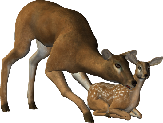 oz_10.png