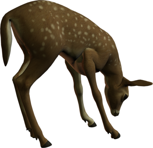 oz_103.png