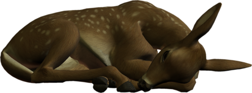 oz_104.png