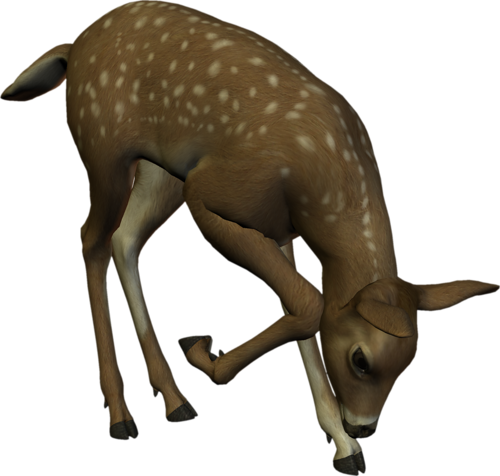 oz_106.png
