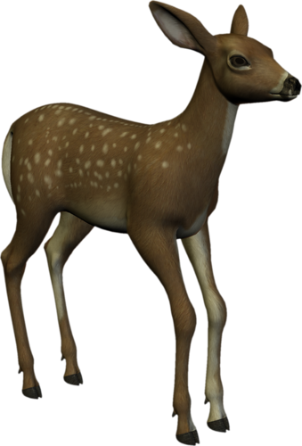 oz_108.png