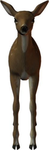 oz_109.png