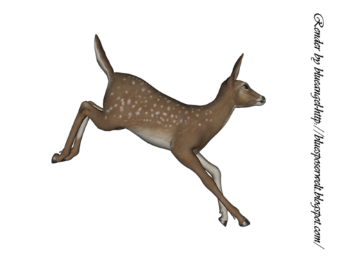 oz_110.png