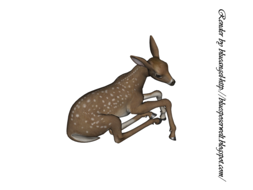 oz_112.png
