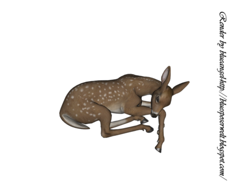 oz_113.png
