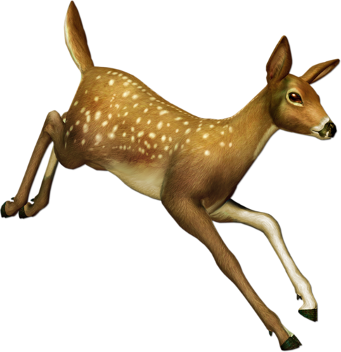 oz_117.png