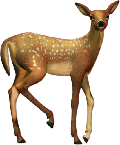 oz_118.png