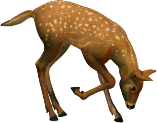 oz_119.png