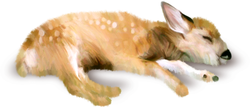 oz_4.png