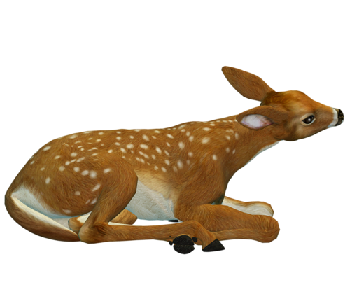 oz_62.png