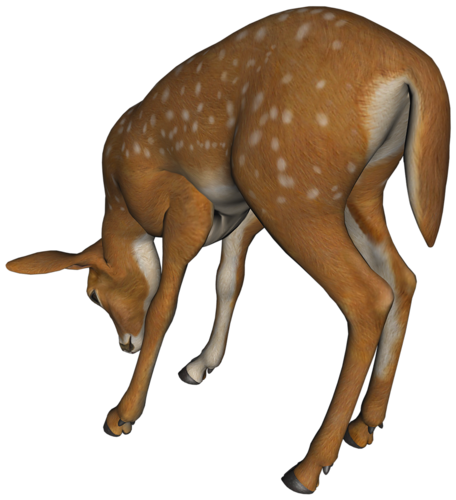 oz_76.png
