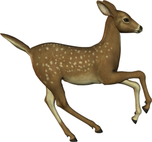 oz_93.png