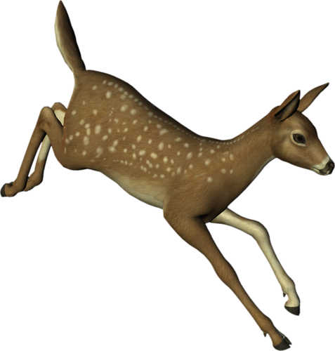 oz_96.png