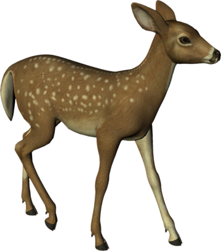 oz_98.png
