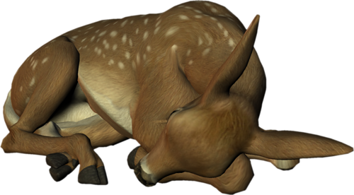 oz_99.png