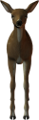 oz_109